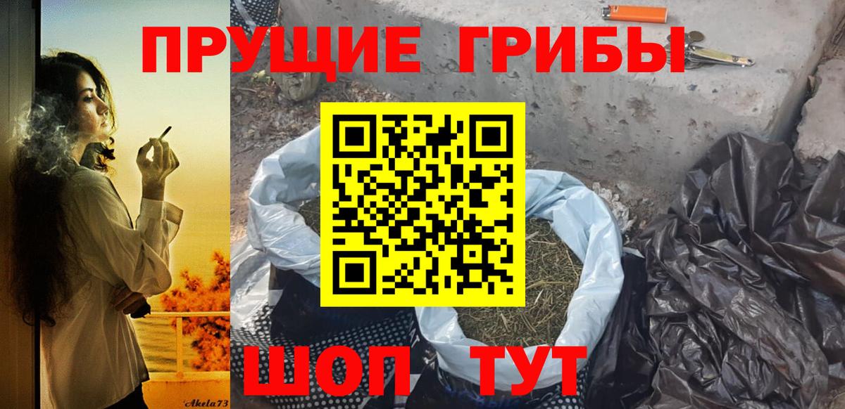Братск  Галлюциногенные грибы Magic Shrooms  Вход с VPN 